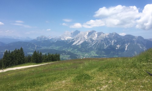 Frühling in Ramsau
