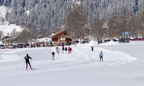 Langlaufen © Photo-Austria C.Höflehner