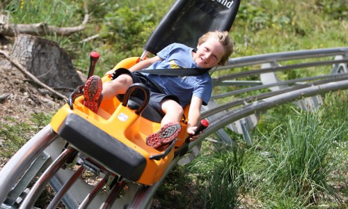 Sommerrodeln am Rittisberg