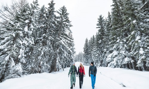 Winterwanderung © Schladming-Dachstein Mathäus Gartner