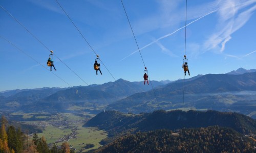 Ziplining - ein Muss für alle Adrenalinjunkies! © zipline.at